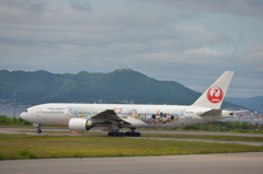 JAL ハピネスエクスプレスと函館山