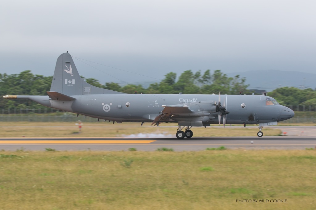Canadian Airforce cp-140