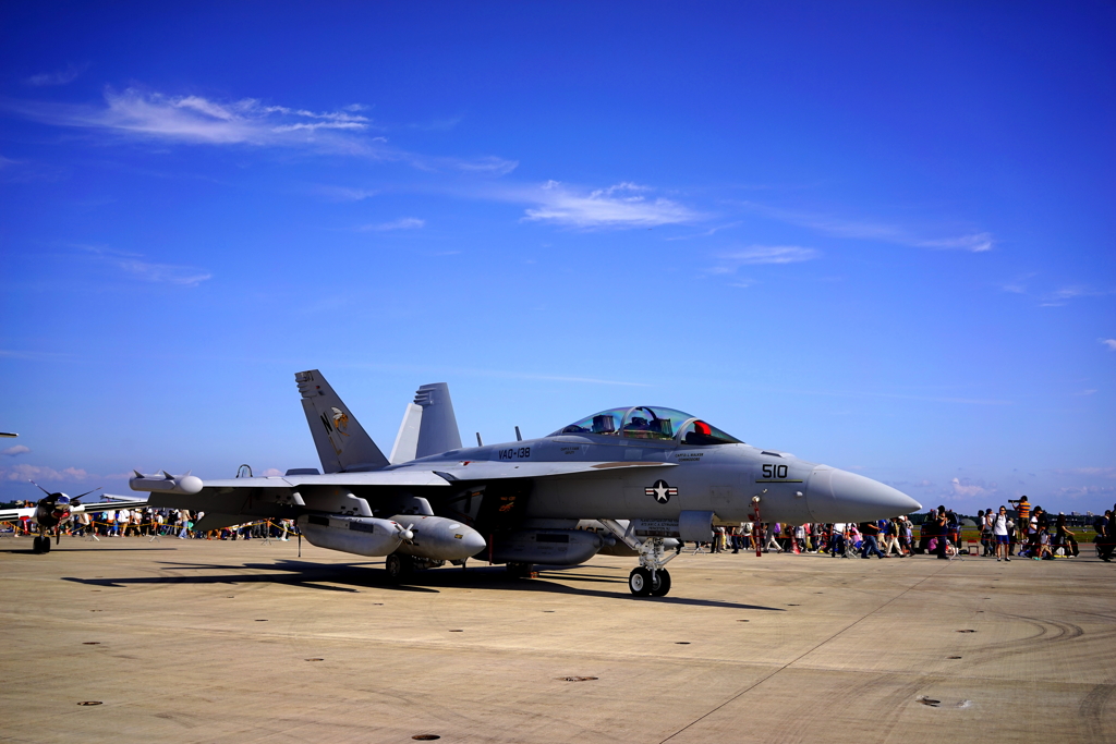 BOING EA-18G Growler 