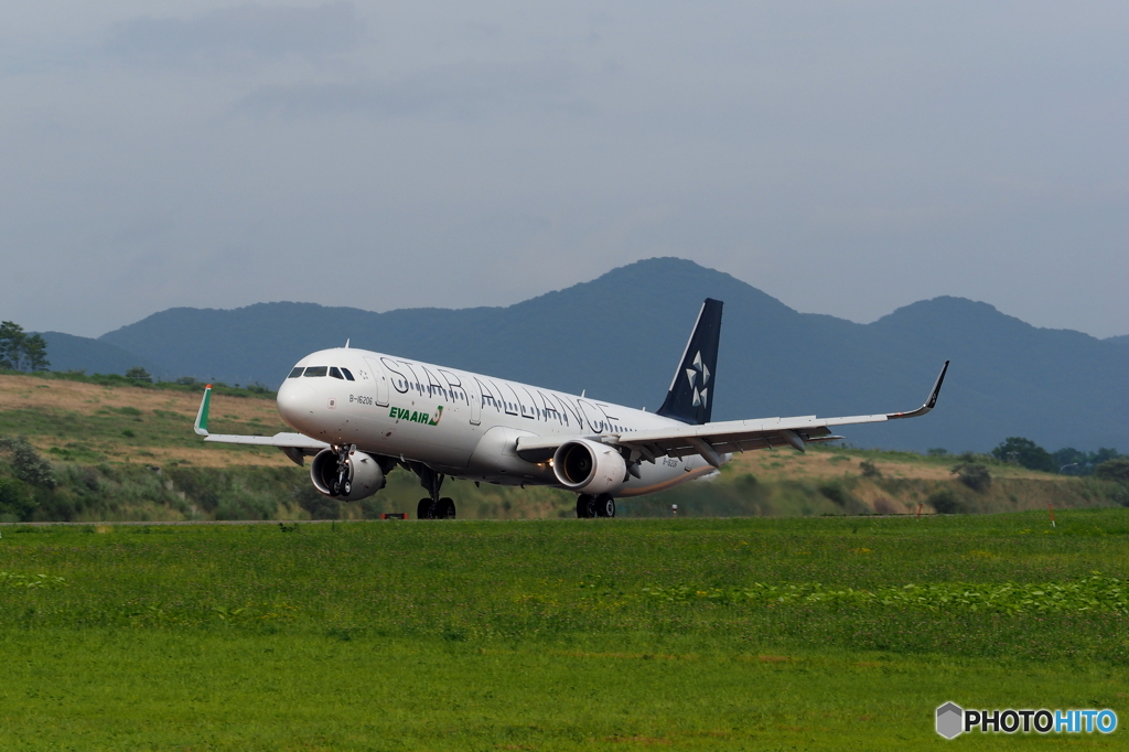夏の函館空港　（Green！編）
