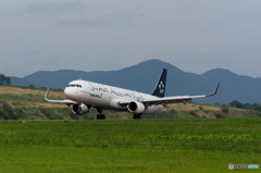 夏の函館空港　（Green！編）