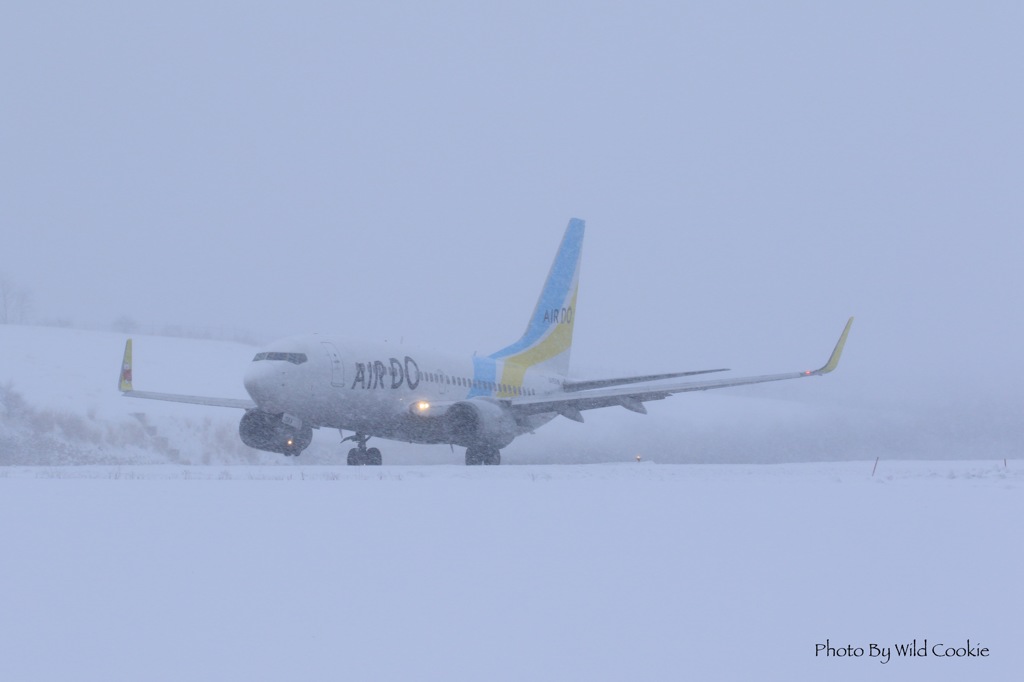 吹雪の函館空港　②