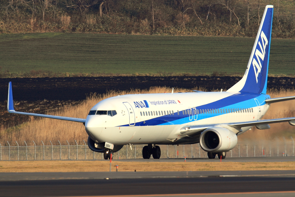 ANA B737-800