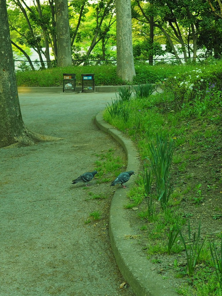 探し物は何ですか？