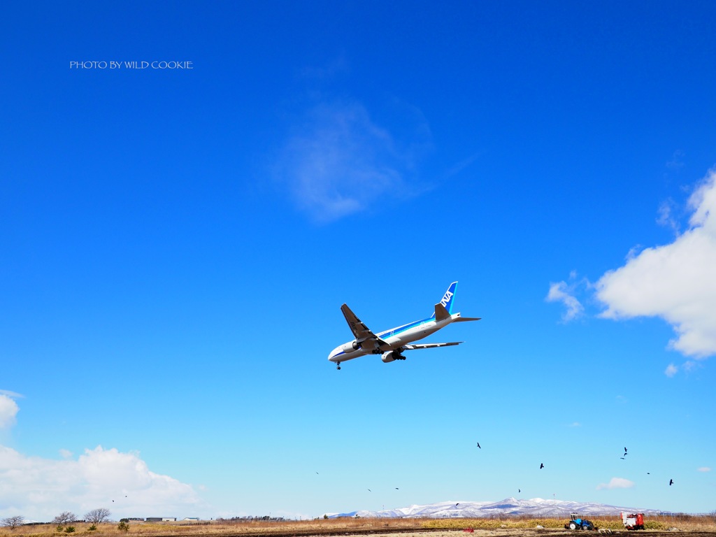 青空と777