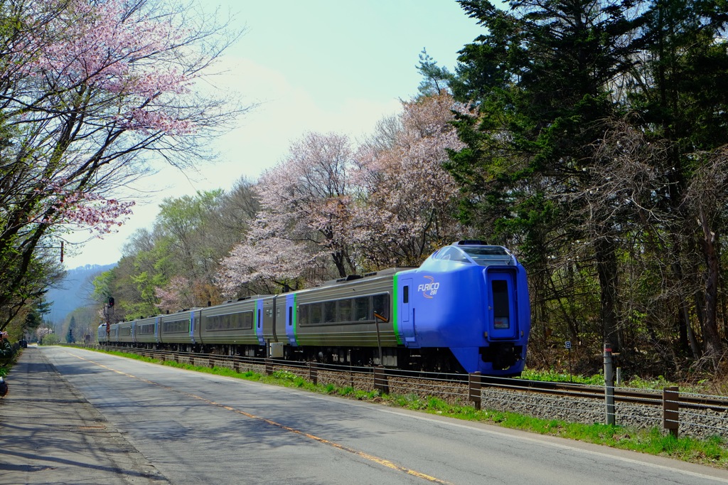 さくらのある風景