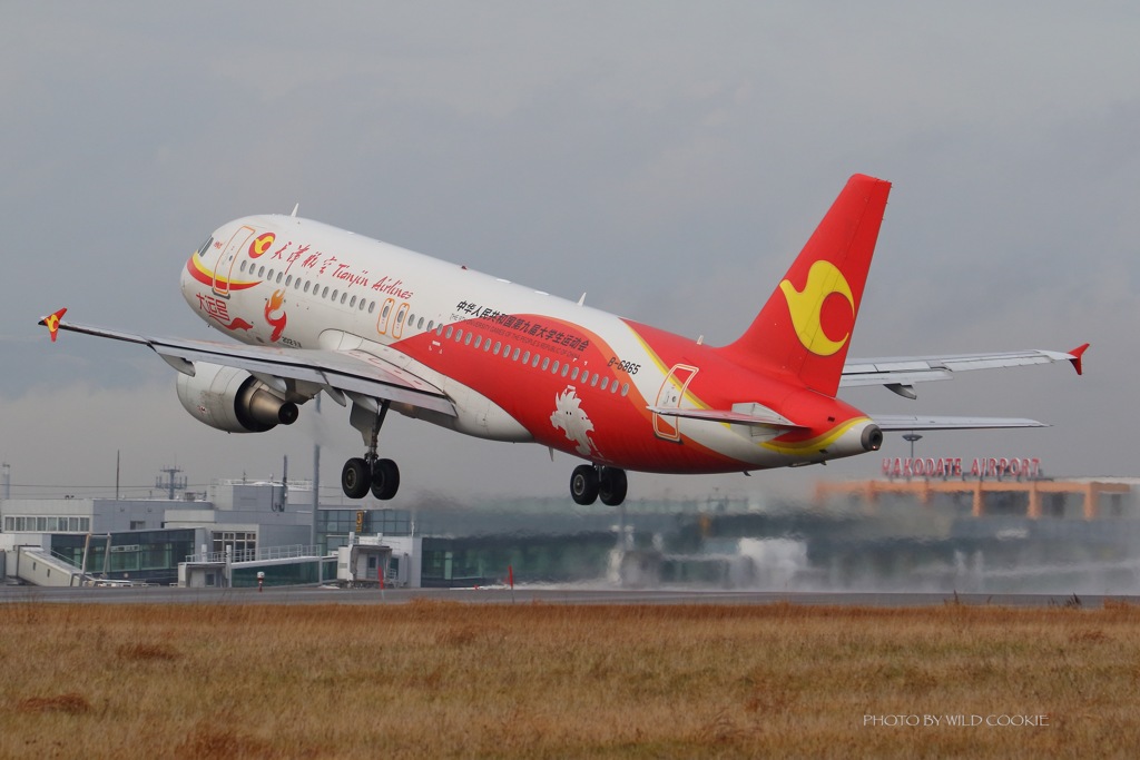 特別塗装機。