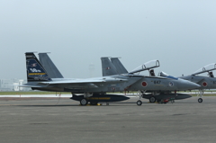 F-15J 203TFS 50th記念塗装機　(2014千歳基地航空祭）