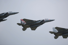 JASDF F-15J Eagle 201SQ 