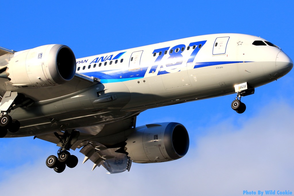 Dreamliner 