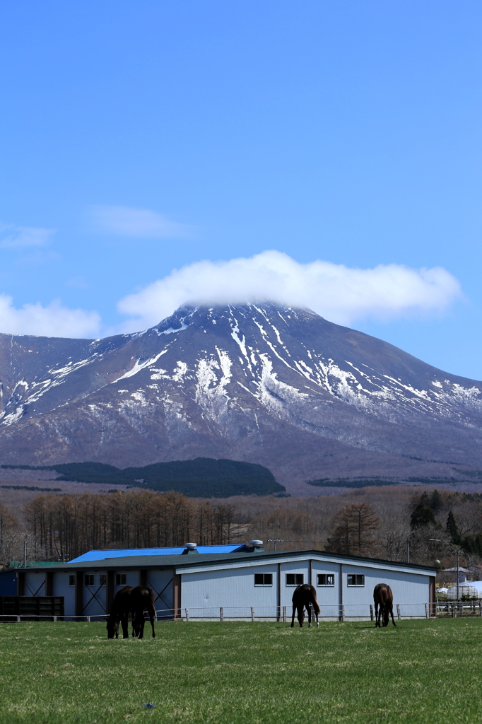 駒ヶ岳のある風景（春）