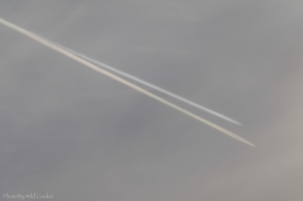 Twin Contrail