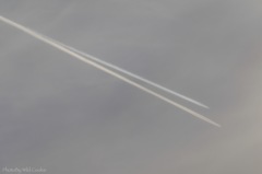 Twin Contrail