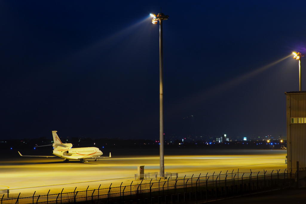 SPOT LIGHT