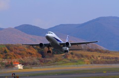 秋の函館空港（ANA A320 Take Off)