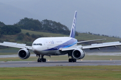 ANA 　B777-200 Long Reverse