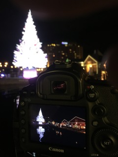 クリスマスツリー撮影って。