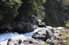 音止の滝、上流