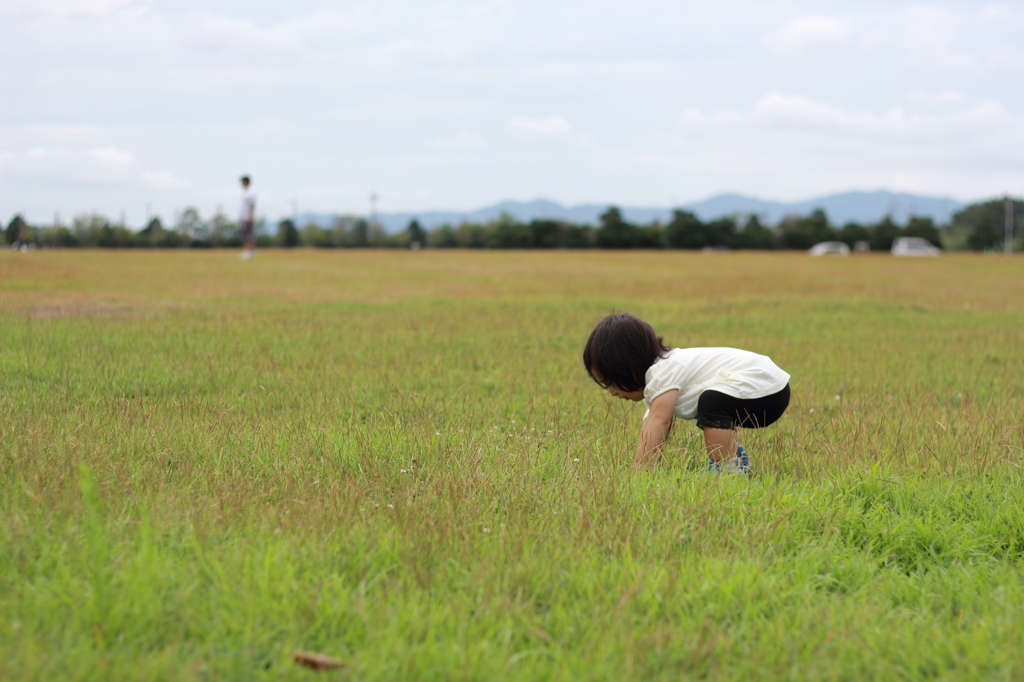 放し飼い