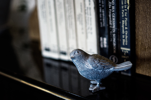 The blue bird of happiness