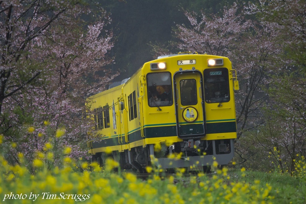 いすみ鉄道1