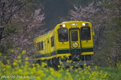 いすみ鉄道1