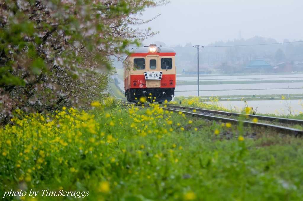 いすみ鉄道２