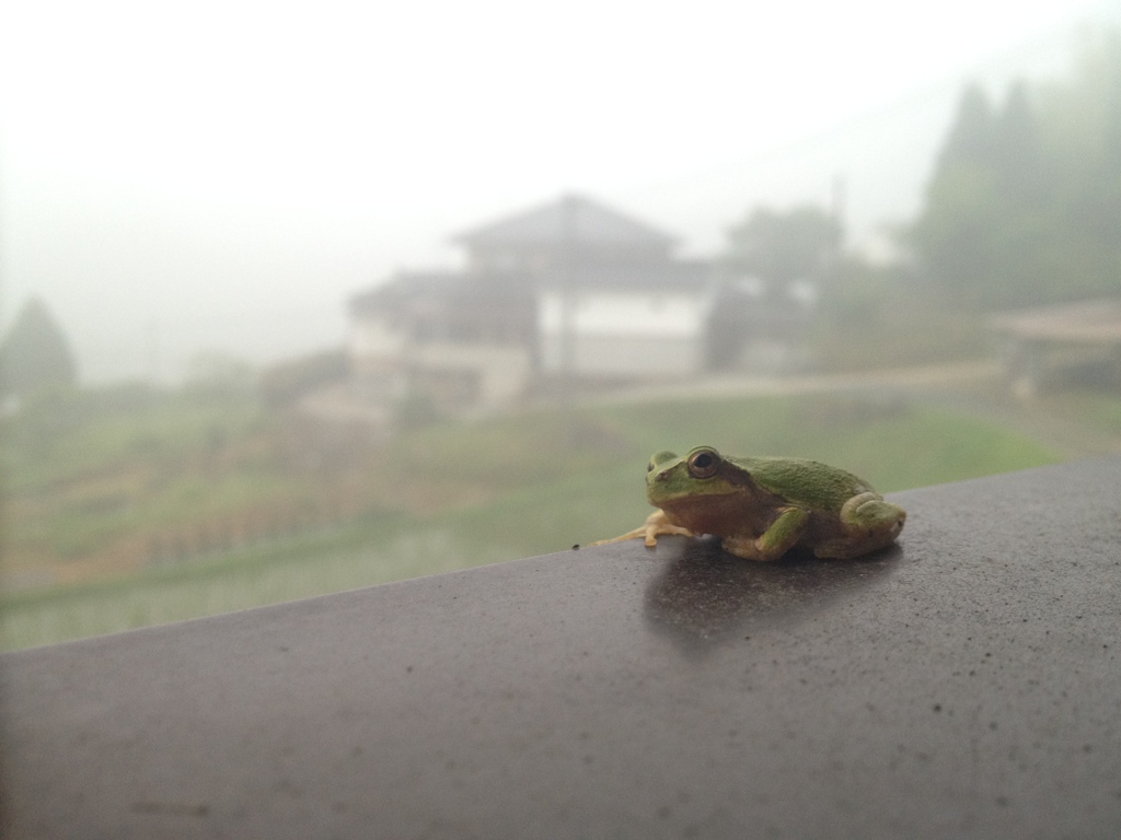 雨降らんのン？