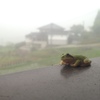 雨降らんのン？