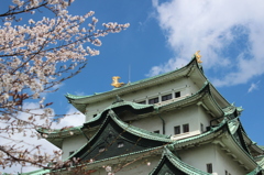 名古屋城