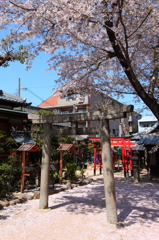 さくら道