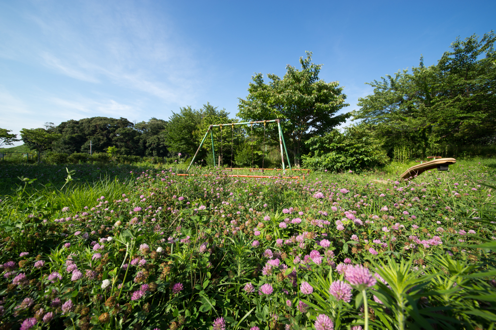 廃公園