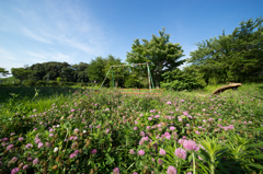 廃公園