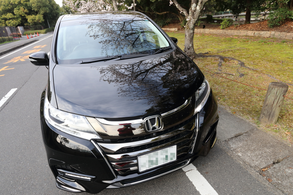 桜と愛車