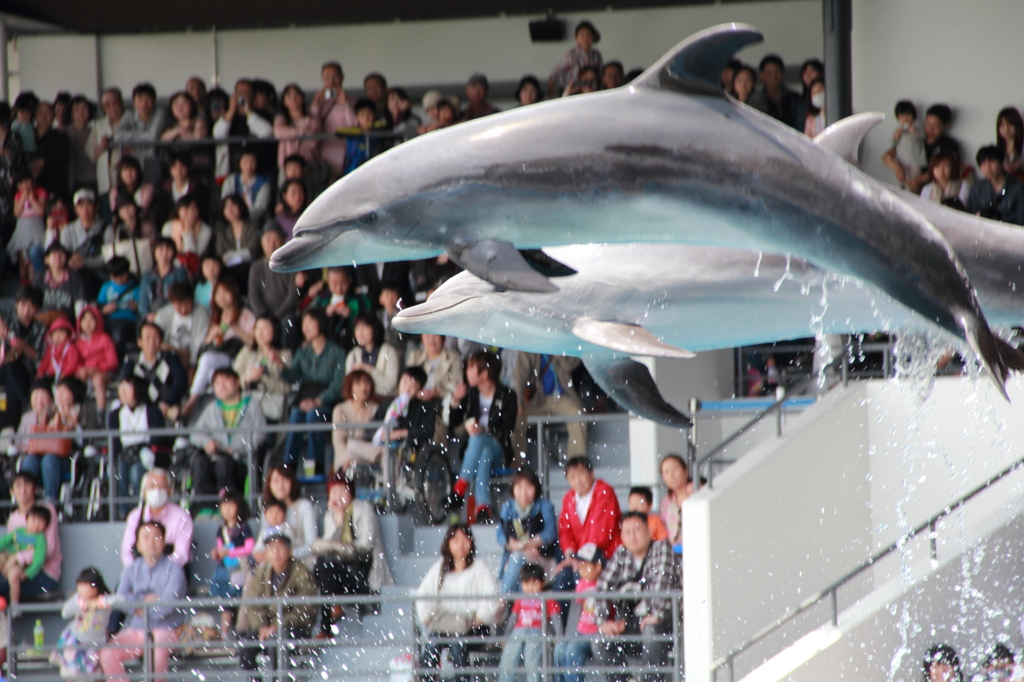 京都水族館