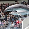 京都水族館