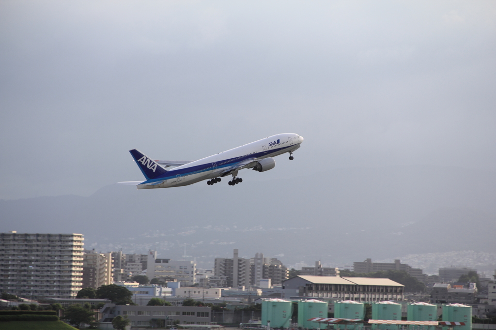 初めての飛行機