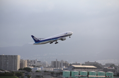 初めての飛行機