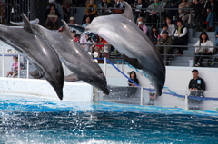 京都水族館