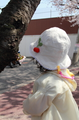 桜とサクランボ