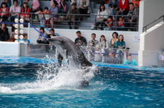 京都水族館