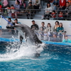 京都水族館