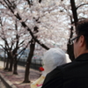 春の散歩