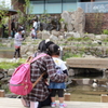 京都水族館