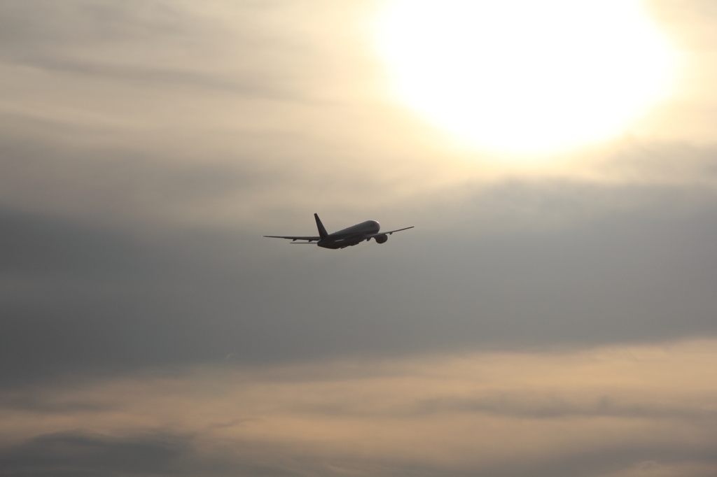 初めての飛行機