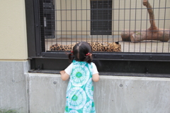 京都動物園
