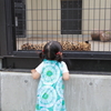 京都動物園
