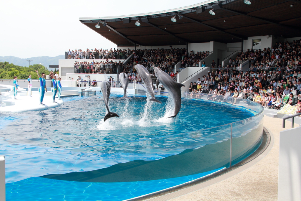 京都水族館