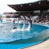 京都水族館