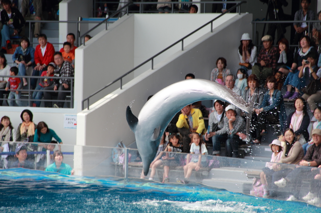 京都水族館